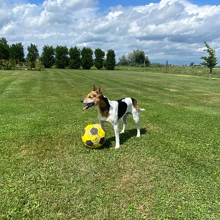 Amsterdam Garden Отель типа 