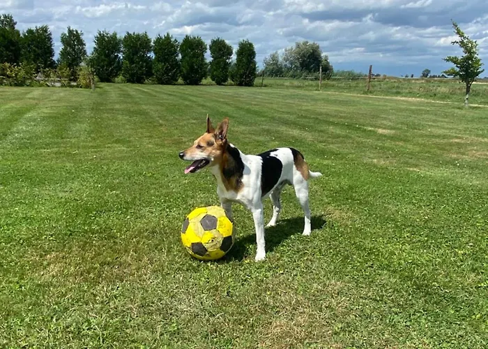 Amsterdam Garden Отель типа 