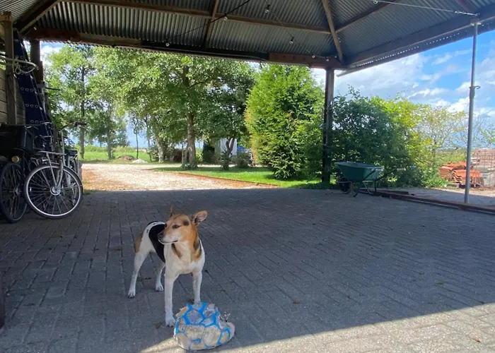 Amsterdam Garden Отель типа 